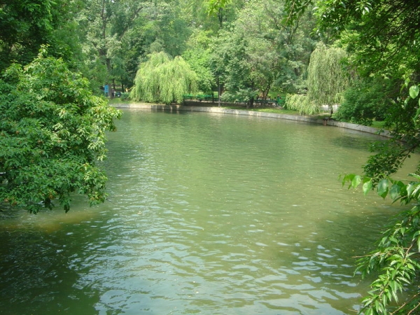 Lacul Cismigiu poza